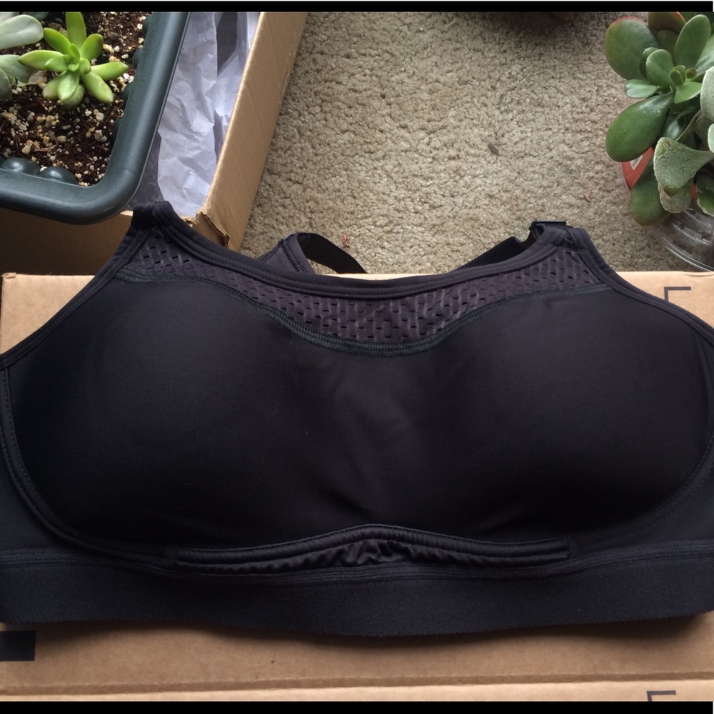 🌻Champions Lightly Padded Black Sports Bra Medium